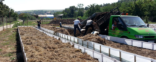 BioHumus Farm